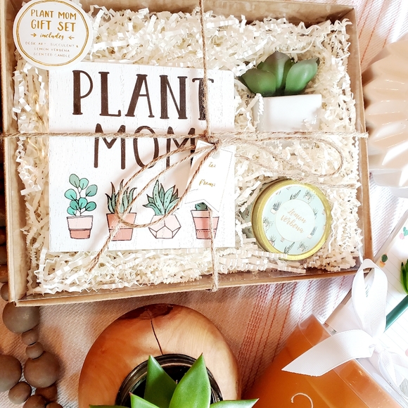Eccolo 'Plant Mom' 6 Pc Succulent Gift Set - Picture 2 of 5